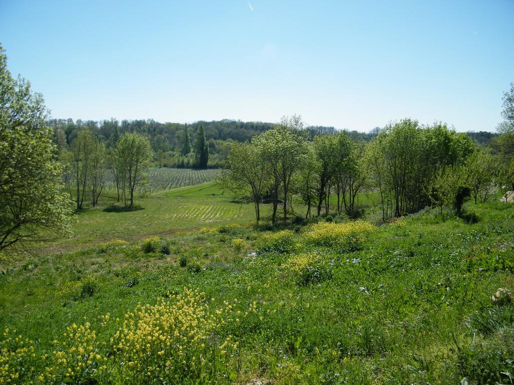 Clos Vieux Rochers Vineyard Puisseguin المظهر الخارجي الصورة