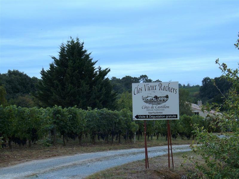 Clos Vieux Rochers Vineyard Puisseguin المظهر الخارجي الصورة