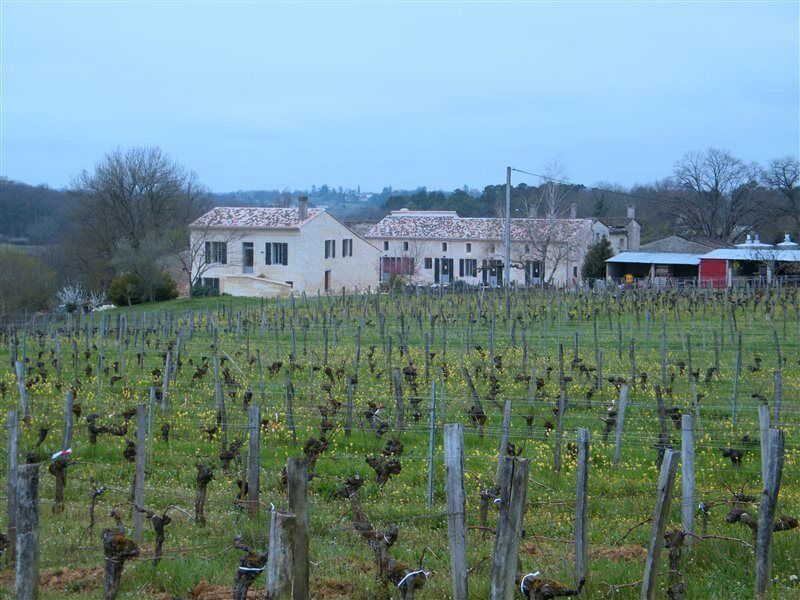 Clos Vieux Rochers Vineyard Puisseguin المظهر الخارجي الصورة