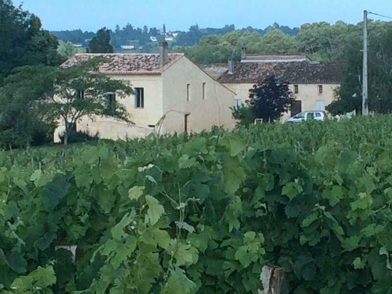 Clos Vieux Rochers Vineyard Puisseguin المظهر الخارجي الصورة